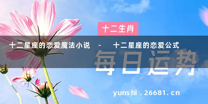 十二星座的恋爱魔法小说 - 十二星座的恋爱公式